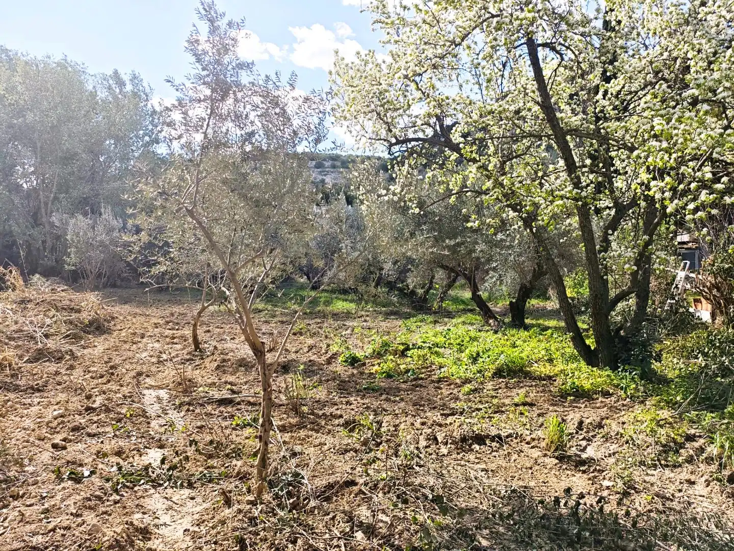 Grundstücke zum Verkauf in Jaén