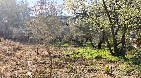 Foto 5 de Terreno en venta en Camino de Valdecañas, Puente Jontoya - Puente de la Sierra - El Arroyo, Jaén Capital