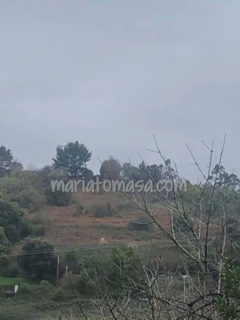 Residential for sale in Urduliz