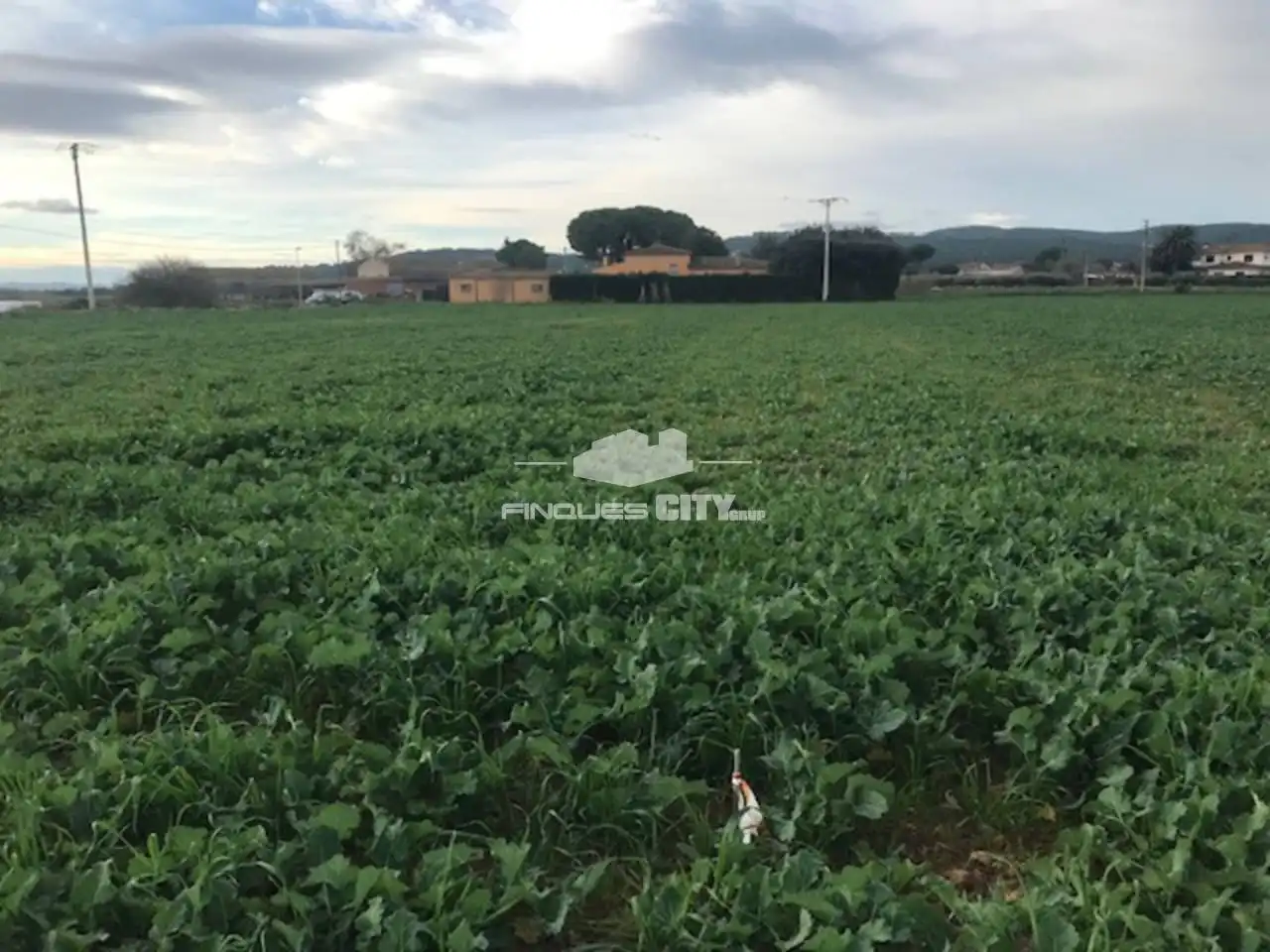 Rural land for sale in Calle Del mitj 5, imagen 3