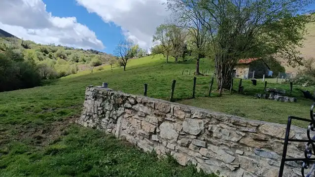 Terreno rustico in vendita a Proaza, imagen 52