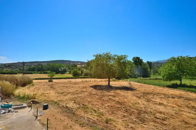 Casa rústica amb terrassa en venda a Partidas Norte, imagen 25