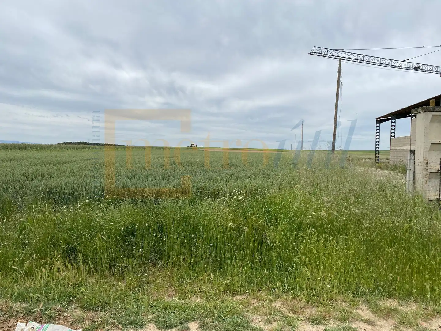 Land for sale in Cantaracillo