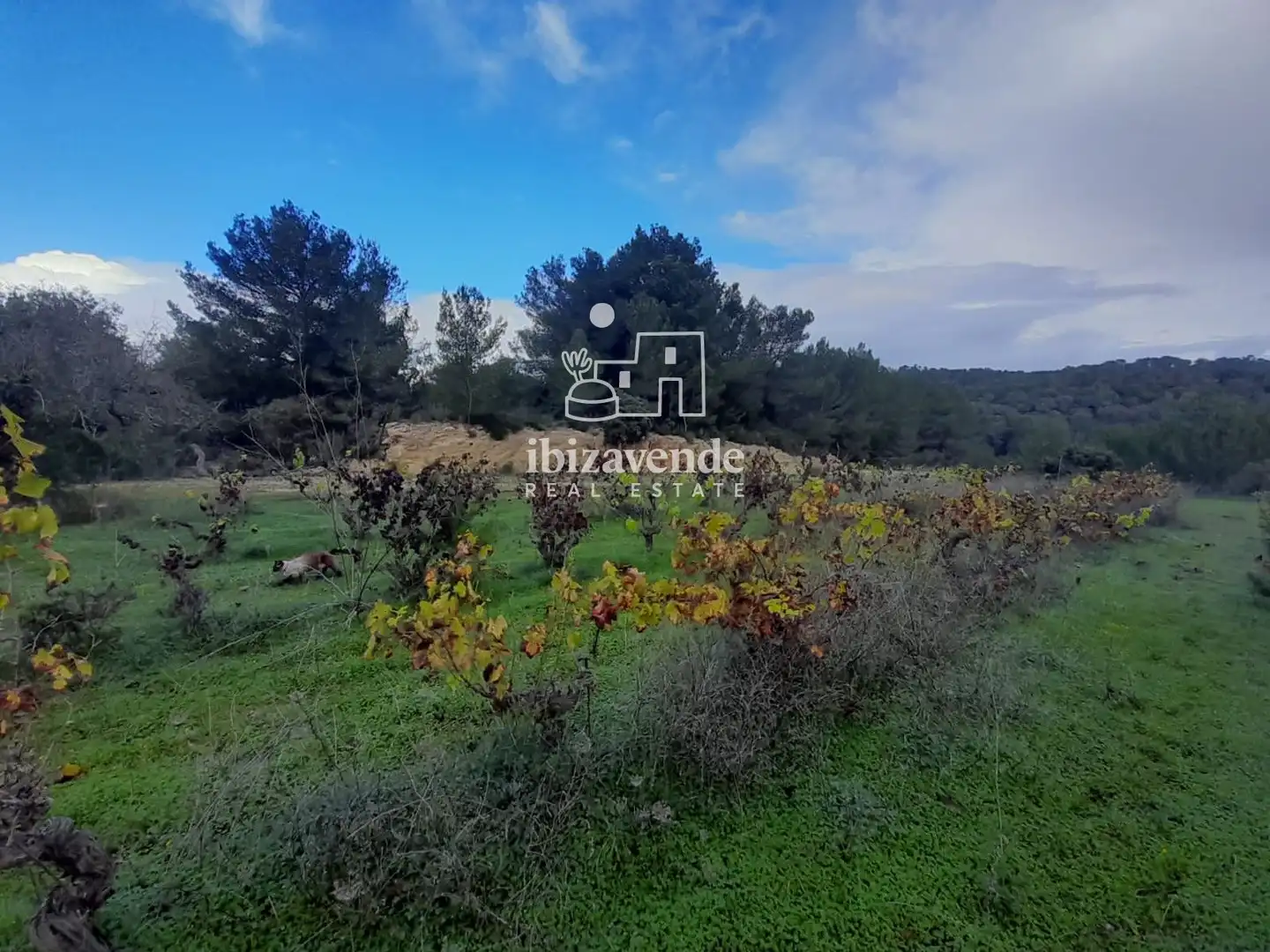 Casa o chalet en venta en Sant Antoni de Portmany