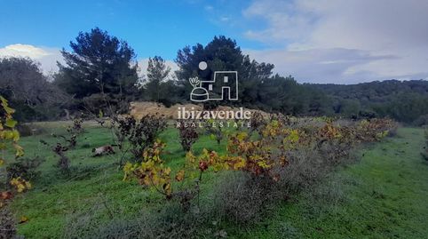 Foto 3 de Casa o chalet en venta en Diseminado Gelabert, Sant Antoni de Portmany, Illes Balears