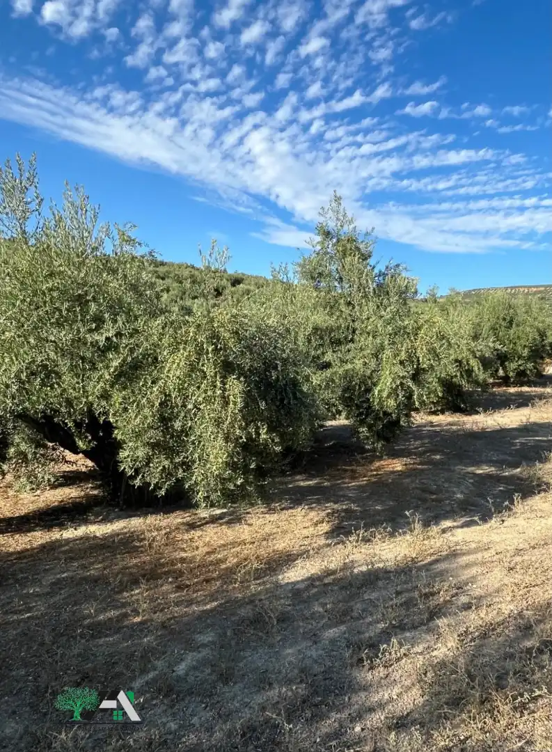 Terreno industrial en venta en Úbeda, imagen 2
