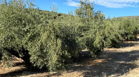 Terreno en venta en Huerta del A. Vallejo s/n, Ubeda., immagine 2