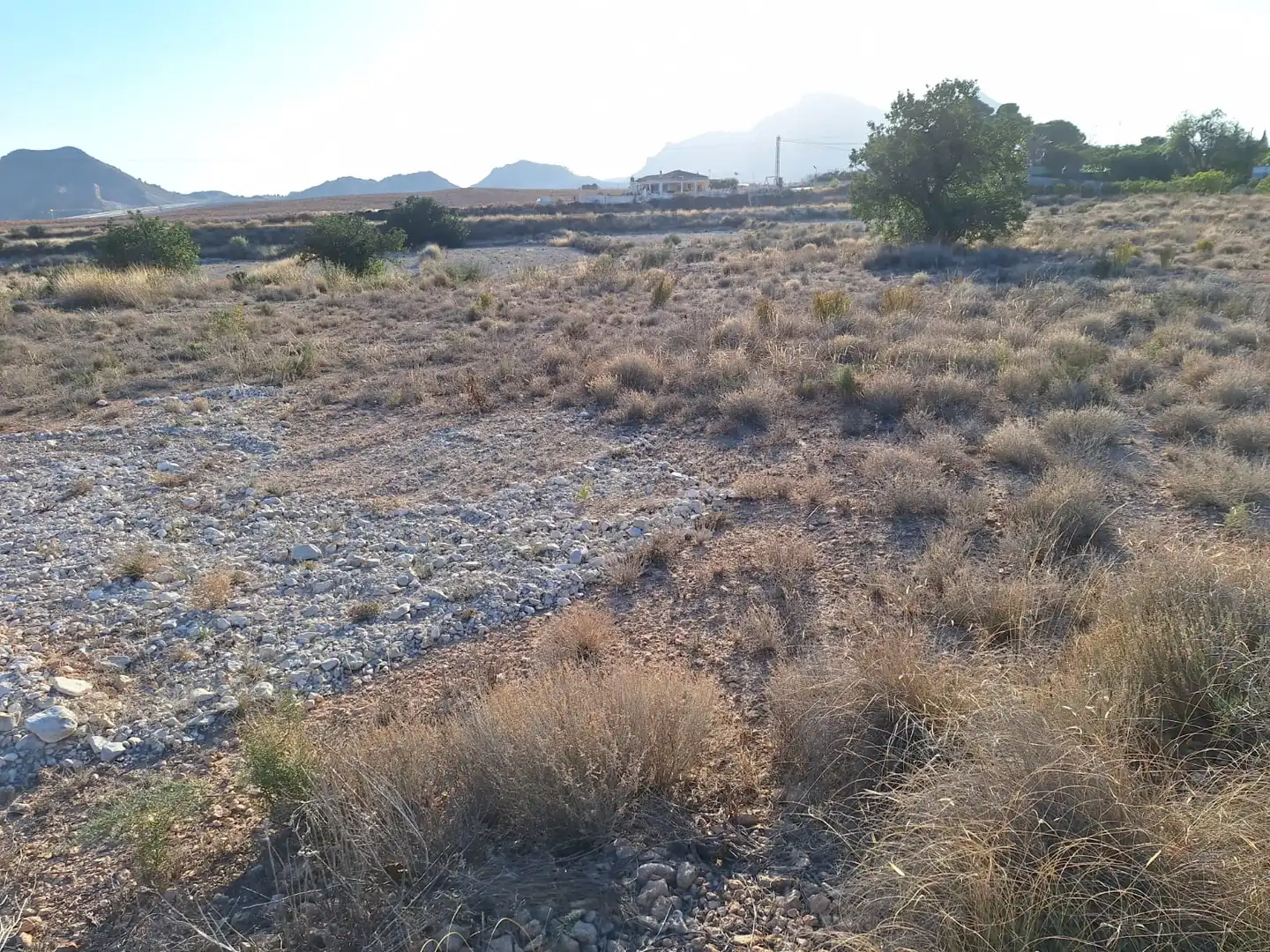 Terreny rústic en venda a Agost, imagen 3