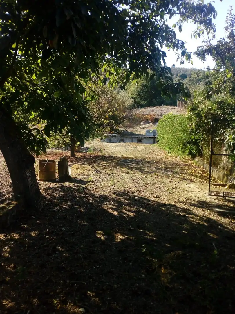 Xalet amb terrassa en venda a Camino Camino de la Regueira, imagen 12