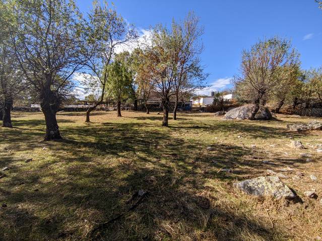 Terreno en Venta en Zarzalejo