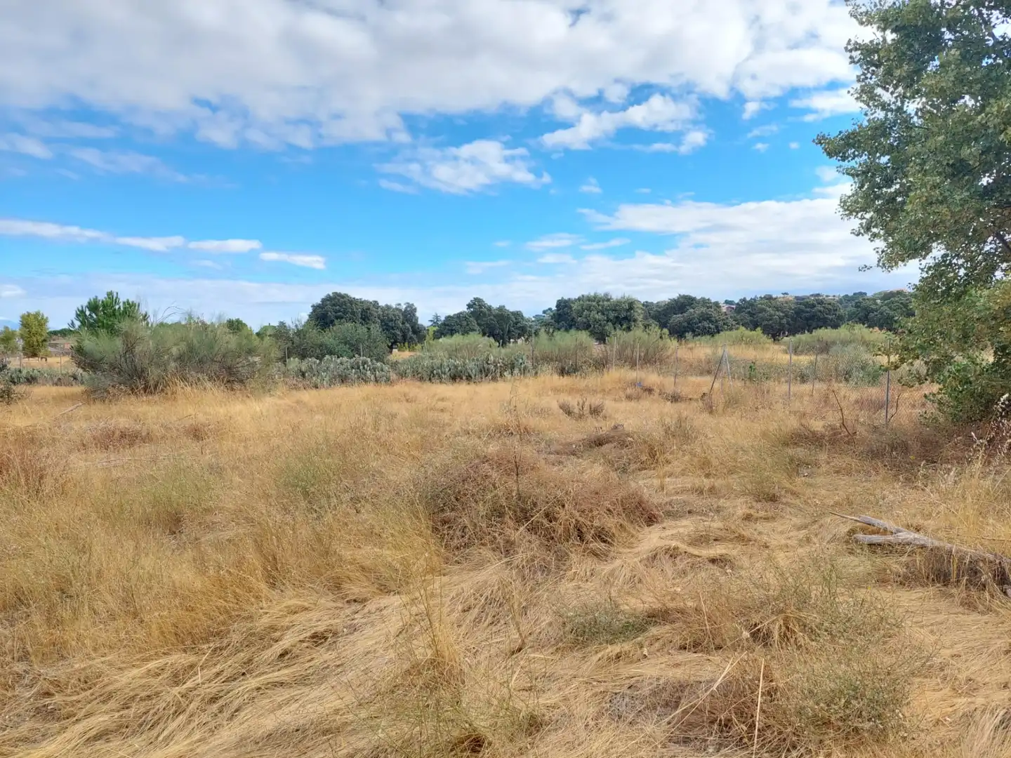 Terreni e lotti in vendita a Santa Cruz del Retamar pueblo, imagen 15
