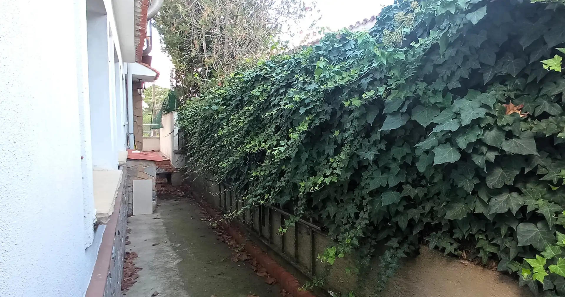 Jardí de Casa o xalet en venda en Cerdanyola del Vallès amb Calefacció i Terrassa