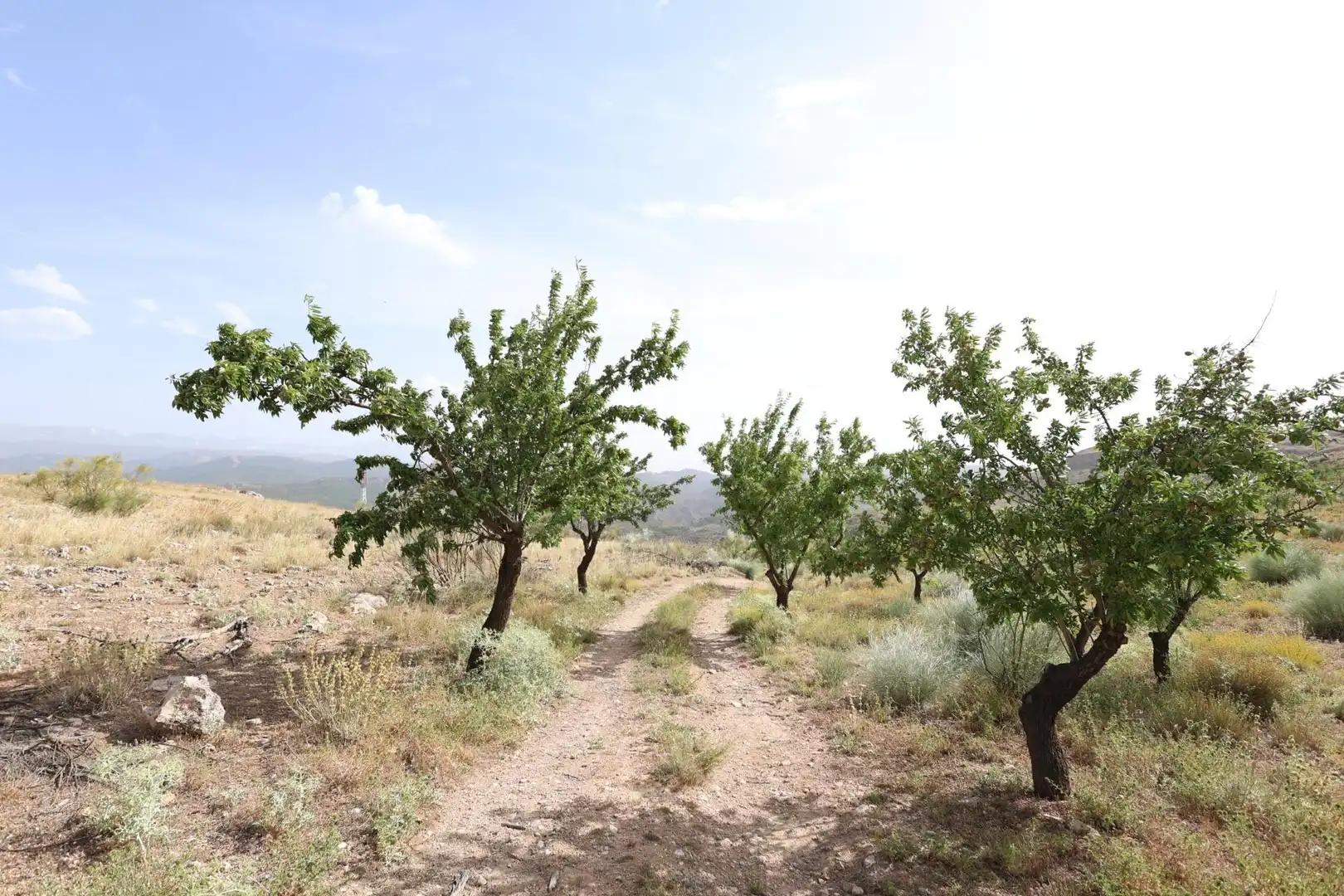 Residencial en venta en Darro