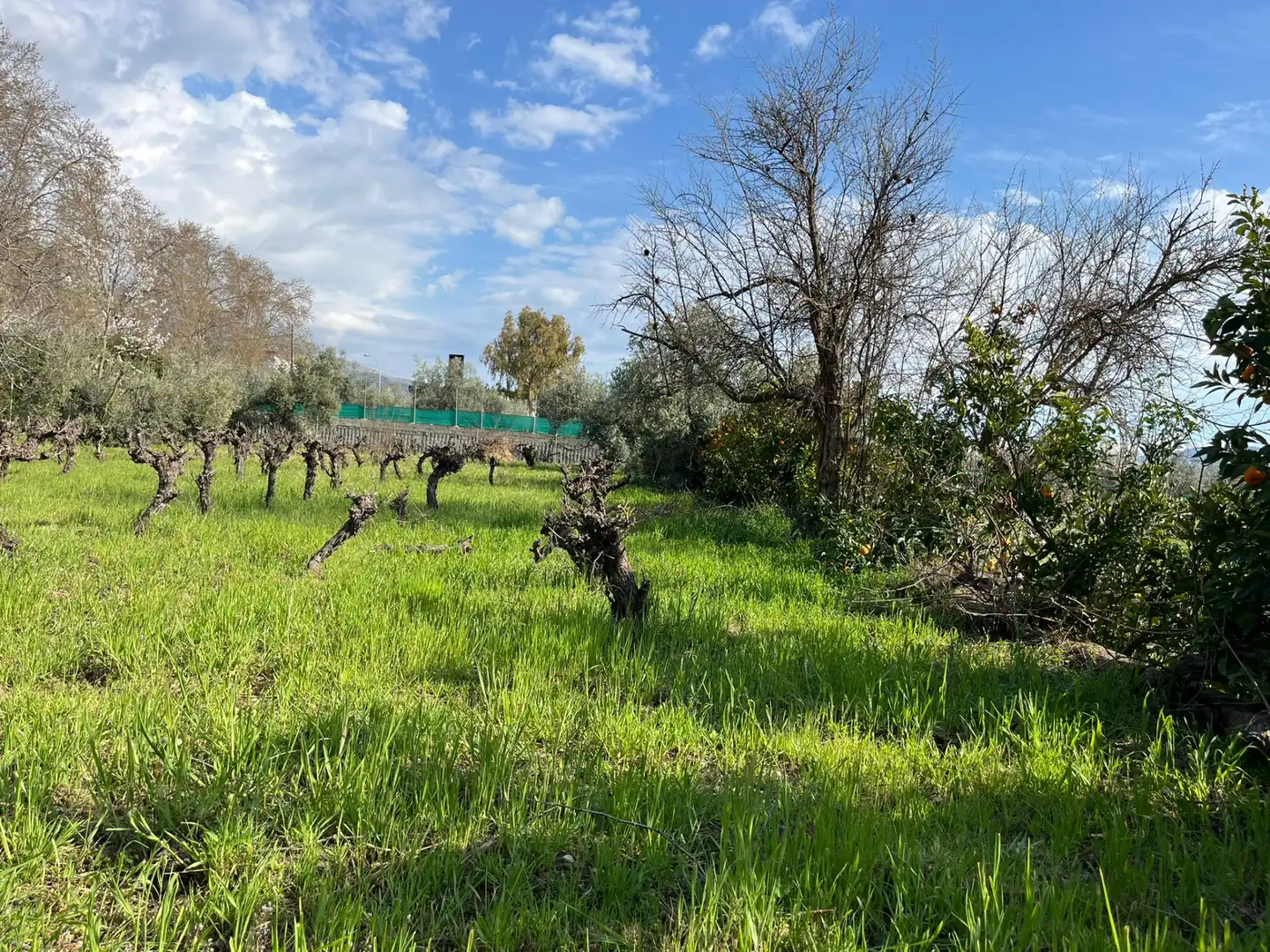 Land for sale in Dúrcal