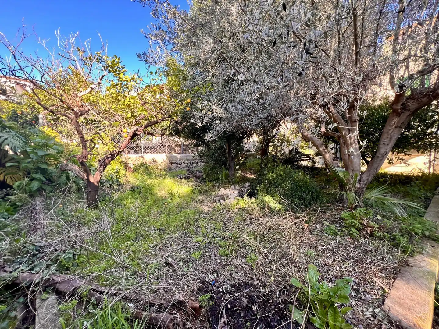Casa o chalet en venta en Selva