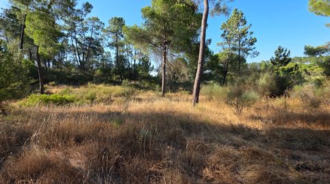 Foto 2 de Terreno en venta en Villablanca, Huelva