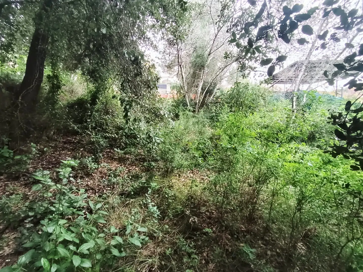 Residencial de alquiler en Piera
