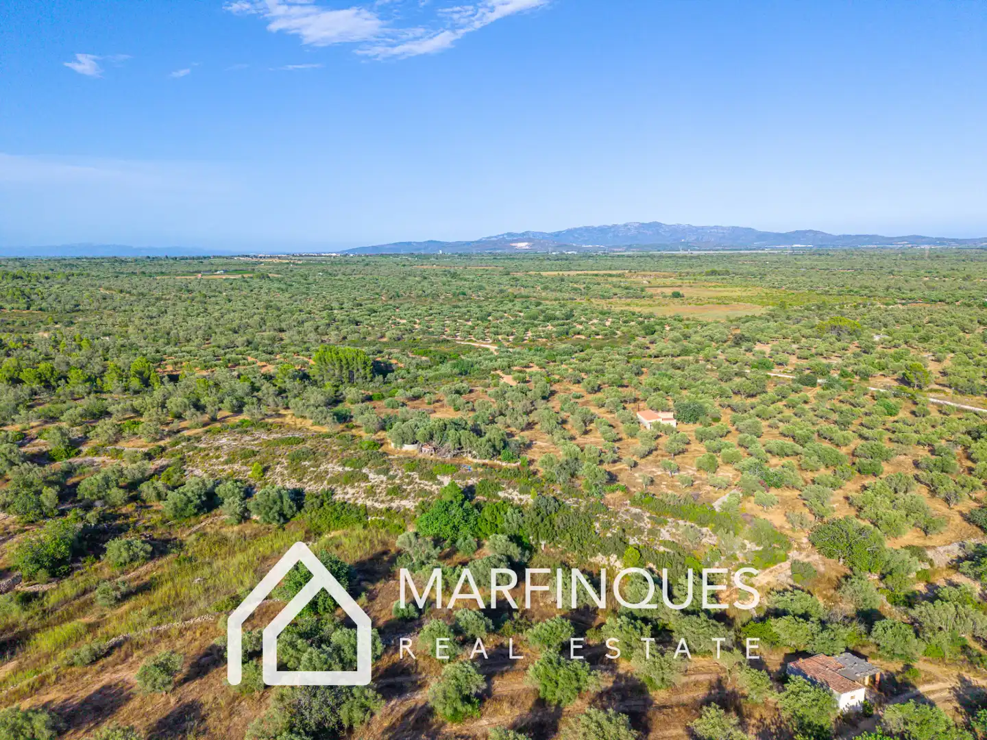 Terreno rustico in vendita a San Rafael del Río, imagen 12