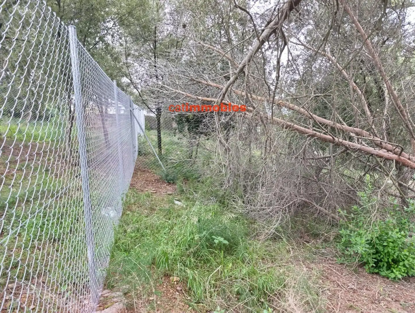 Terreny residencial en venda a Rosa Mariné, imagen 23