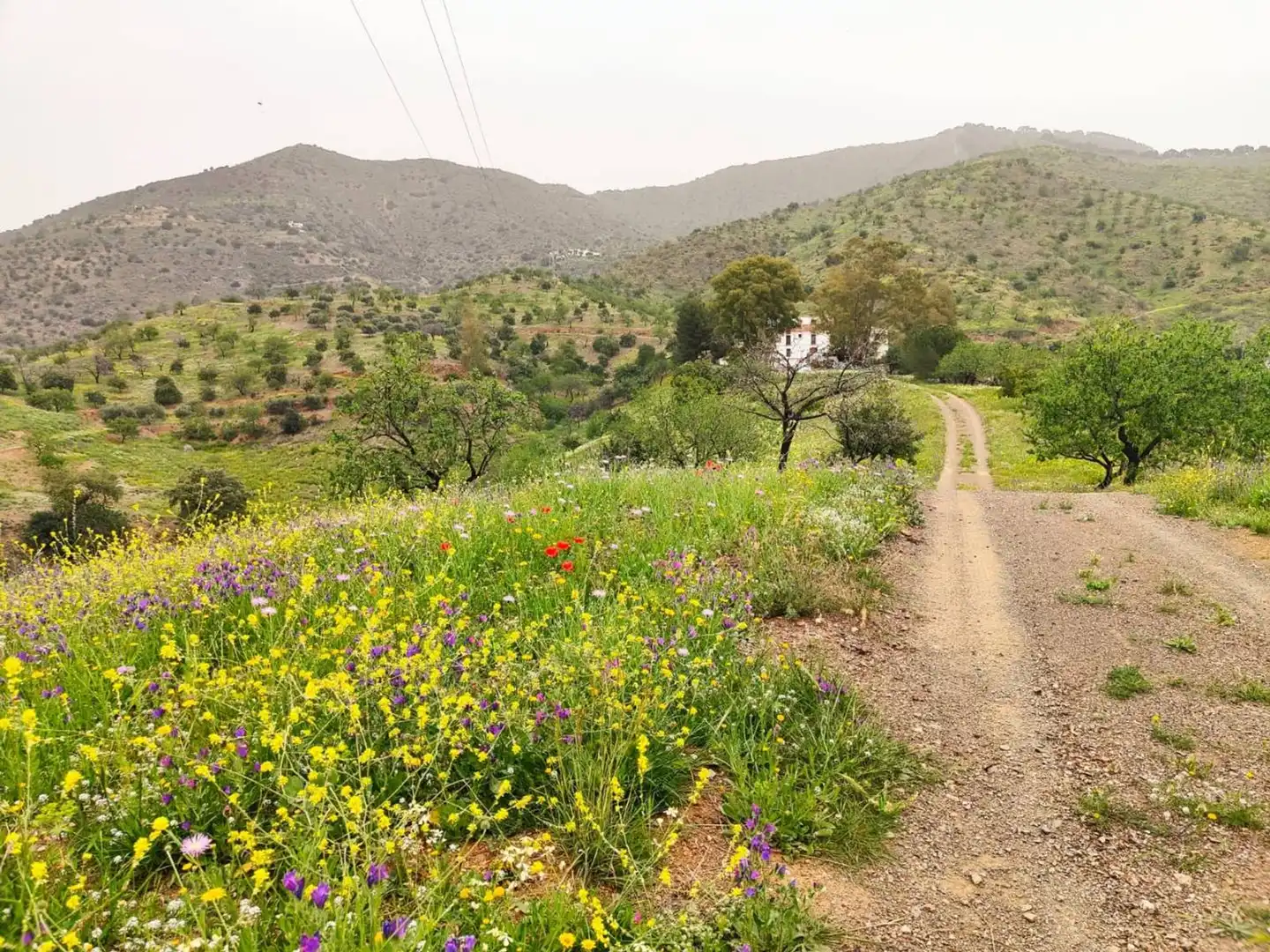 Residential zum Verkauf in Alegría de la Huerta- Jardín de Málaga