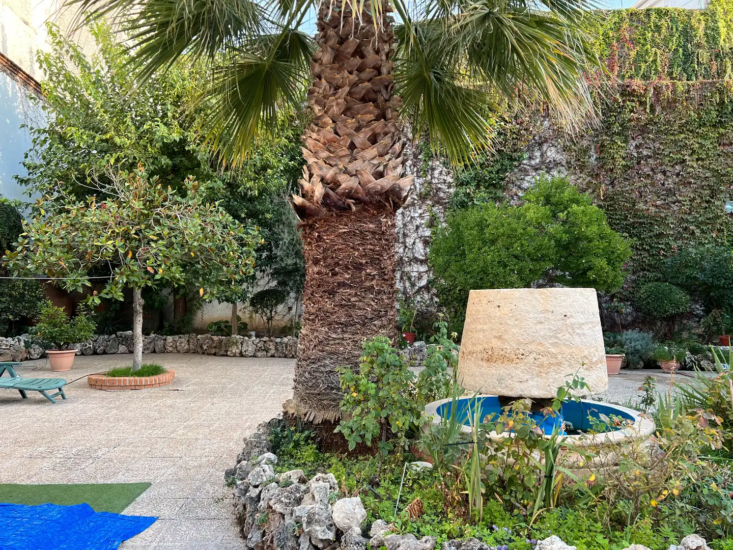 Houses for sale in Centro