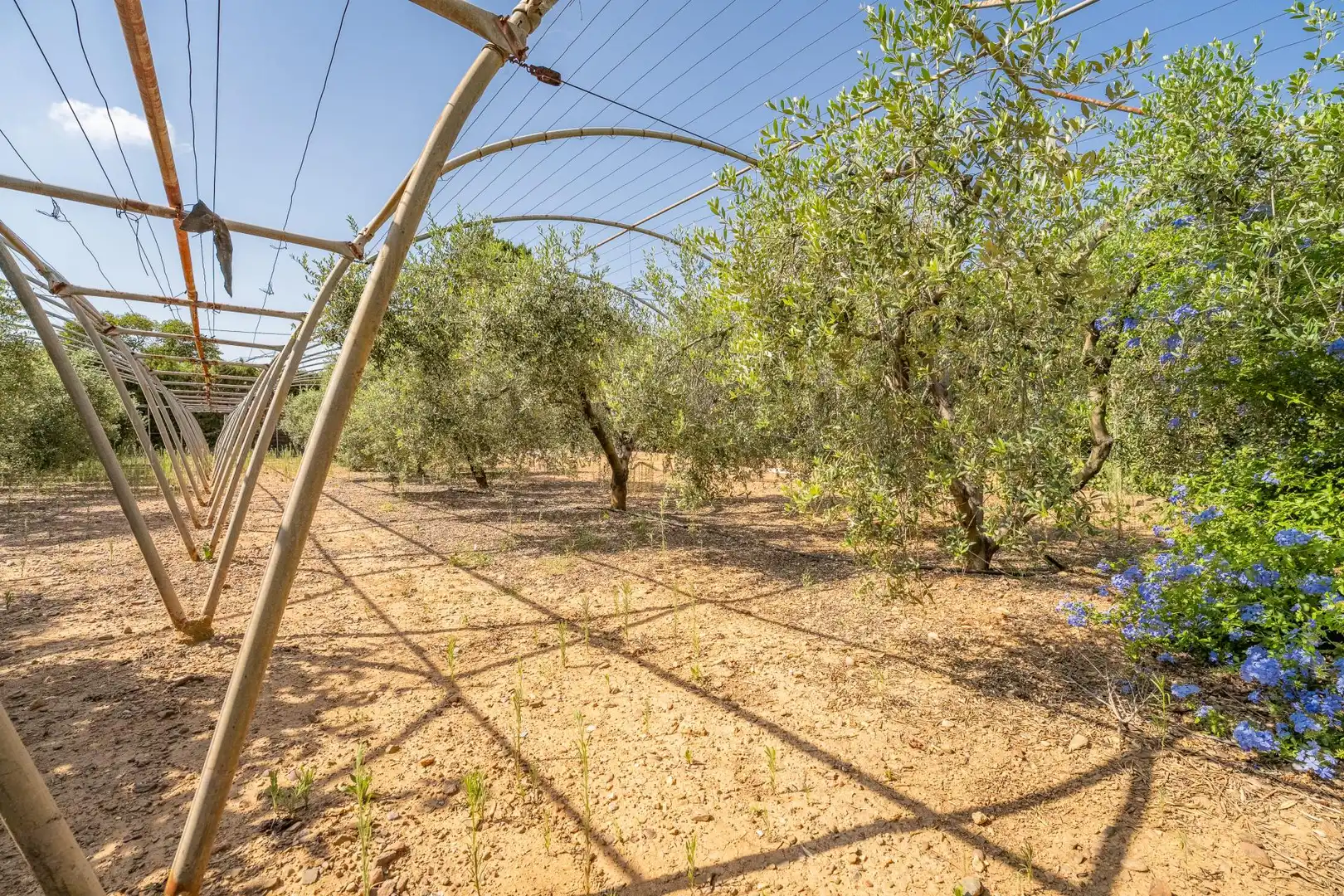 Finca rústica en venta en Riudoms con Calefacción y Jardín privado