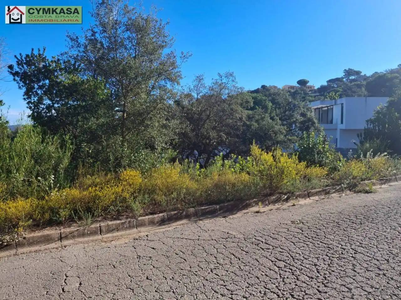 Residential land for sale in Montbarbat, imagen 12