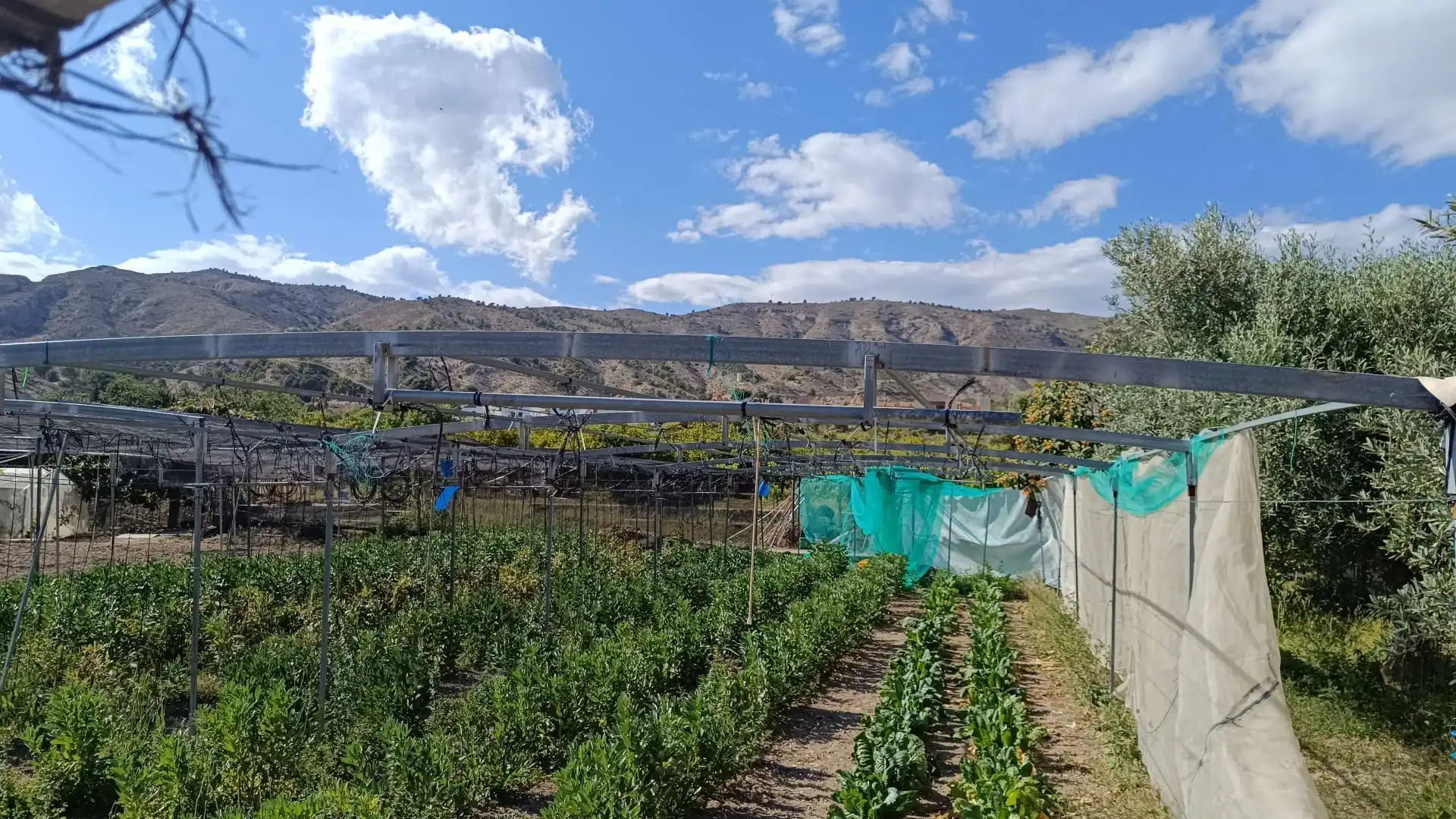 Terrenos y solares en venta en Orxeta, imagen 14