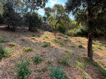 Terrain résidentiel à vendre à Carrer de la Cerdanya 3