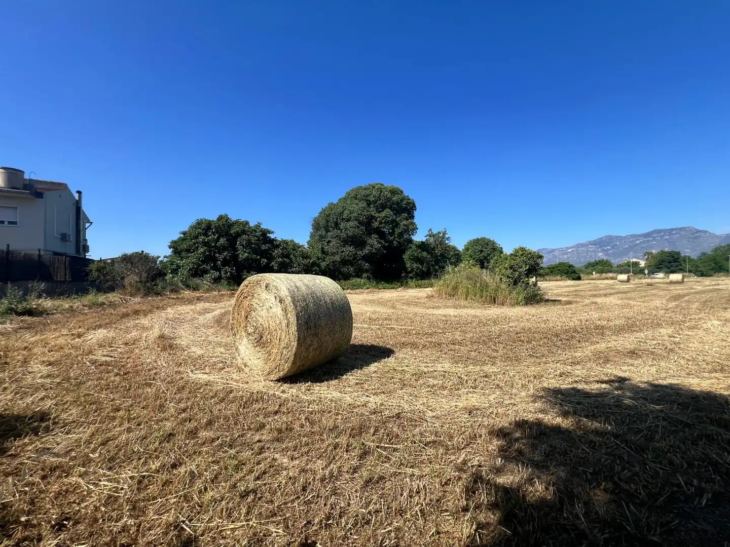Rural land for sale in Carretera de València 5, imagen 14