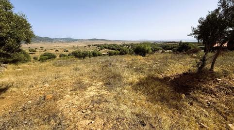 Foto 2 de Terreno en venta en Tarifa ciudad, Tarifa