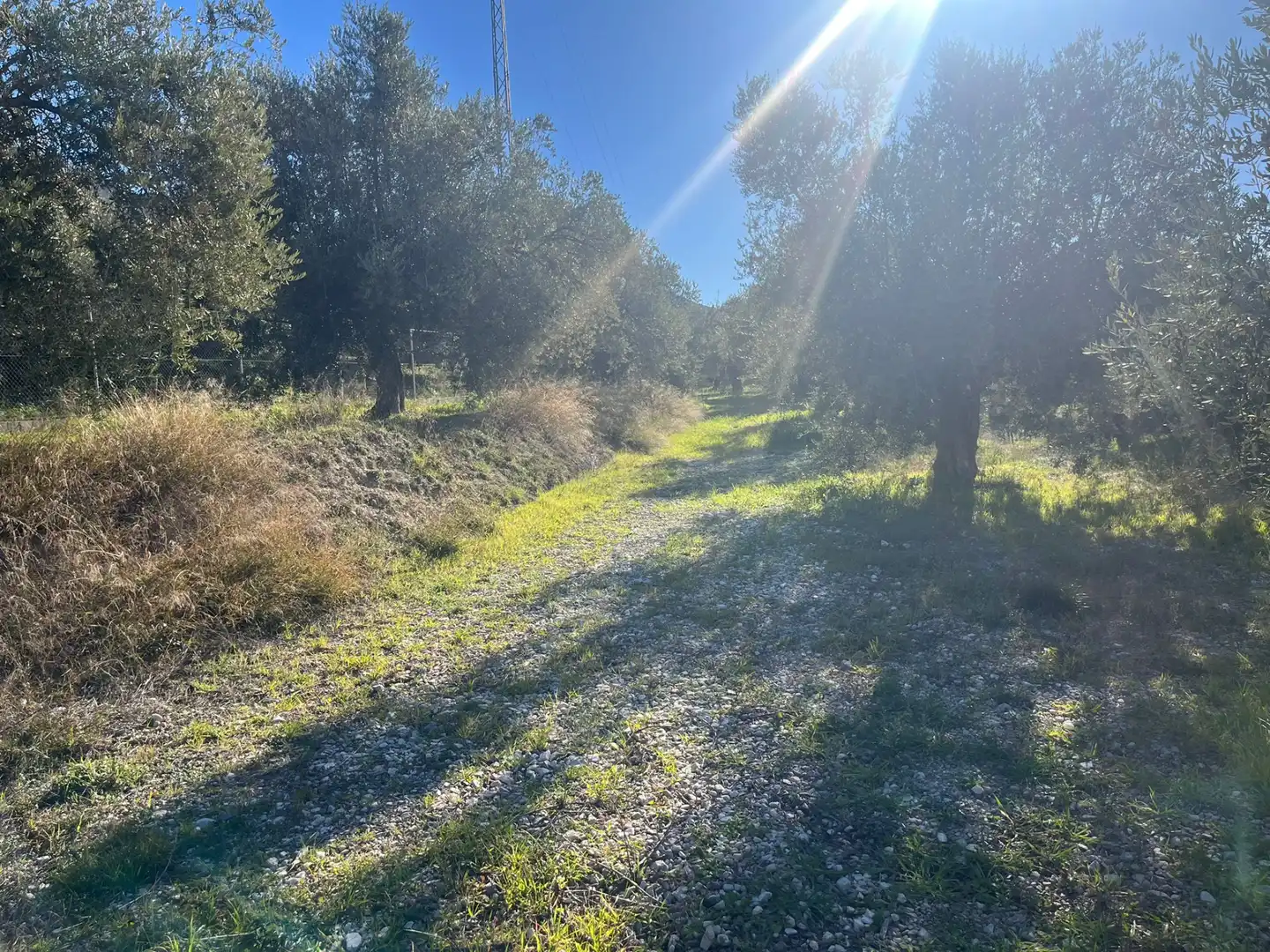 Rural land for sale in Calle Jose Saramago, imagen 5