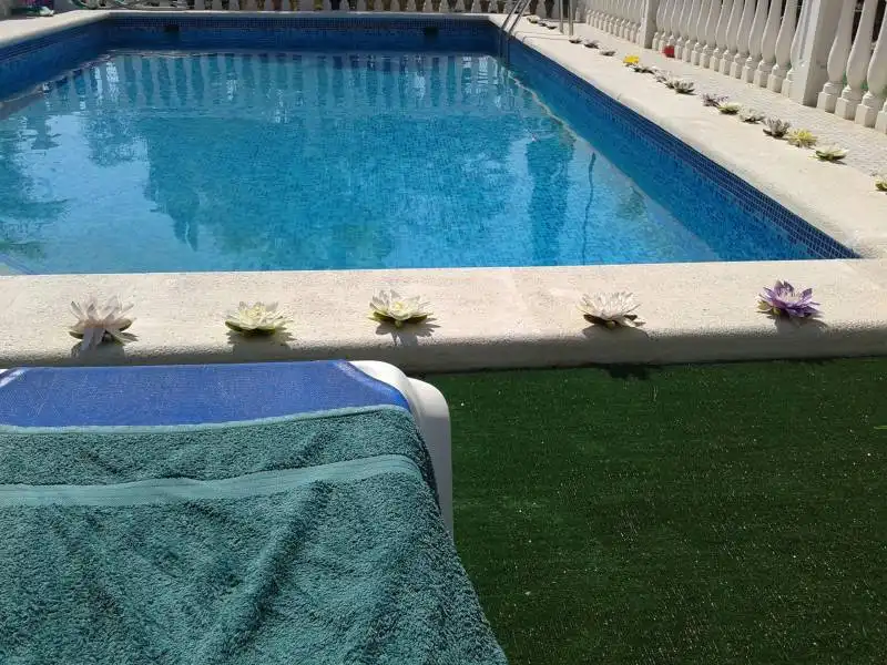 Villa avec piscine à vendre à Crevillent, imagen 18