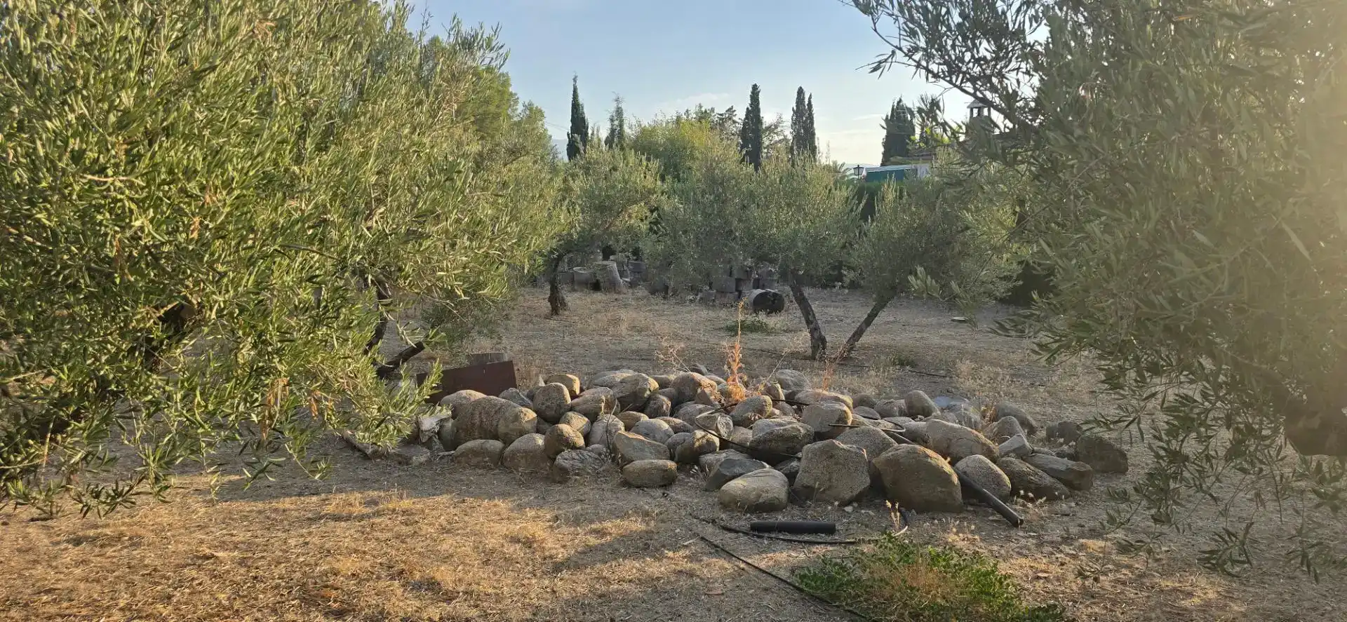 Piso en venta en La Guardia de Jaén, Jaén