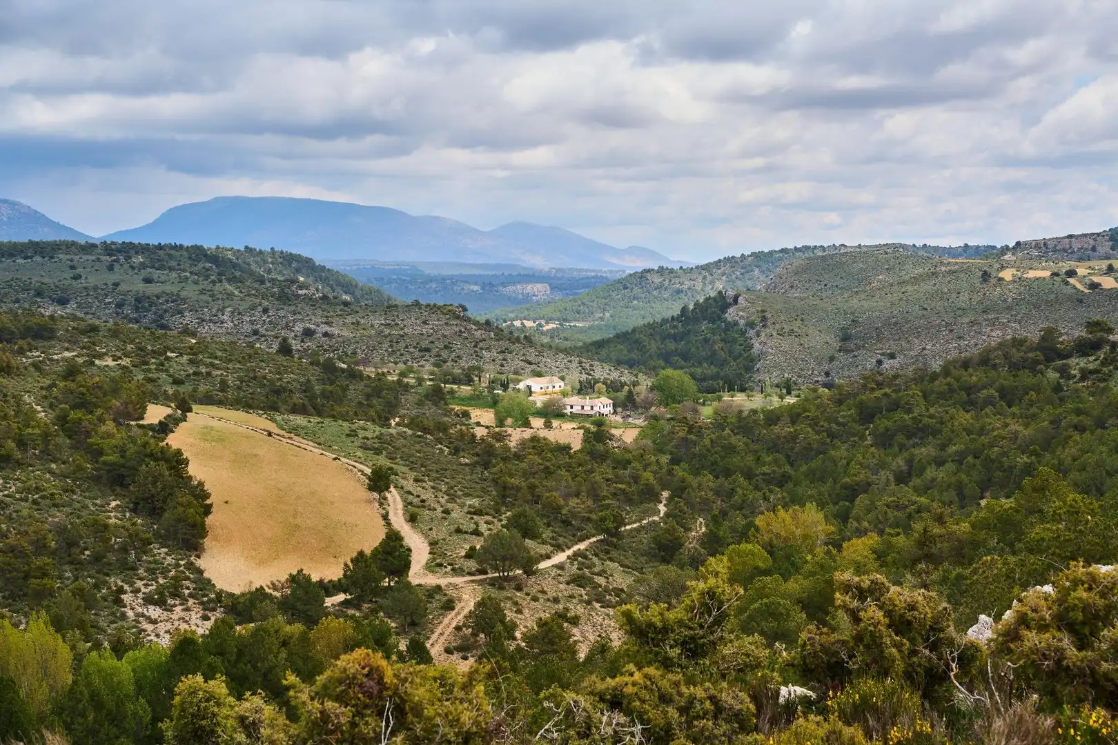 Finca rústica en venta en DISEMINADOS, 24, Puebla de Don Fadrique