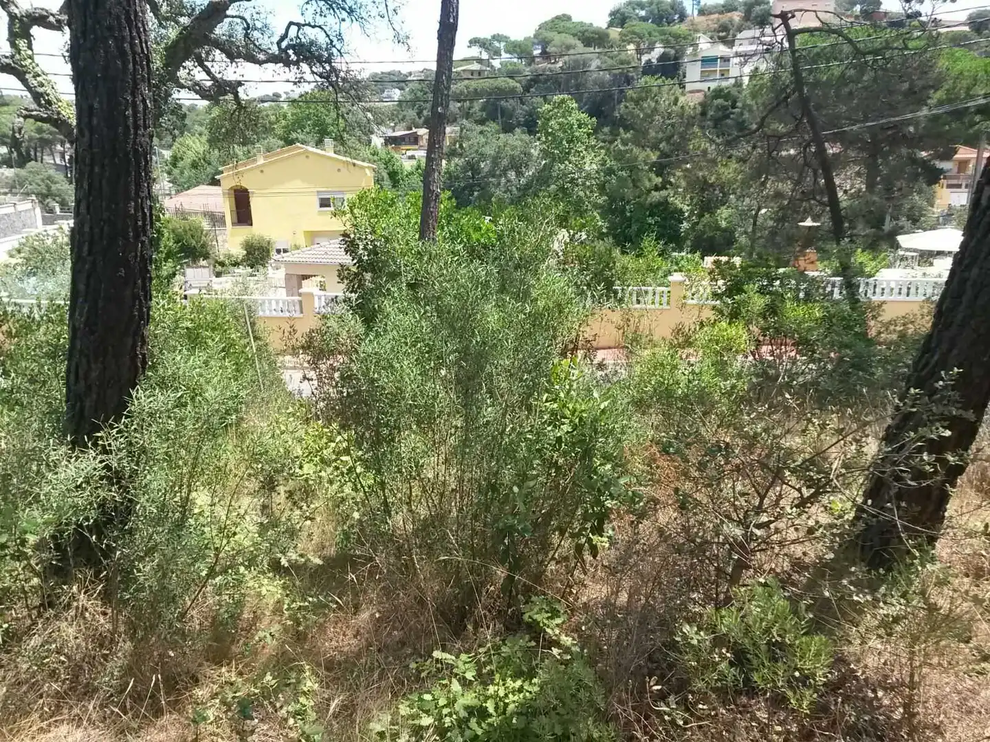 Rural land for sale in C/ Montjuic, imagen 6