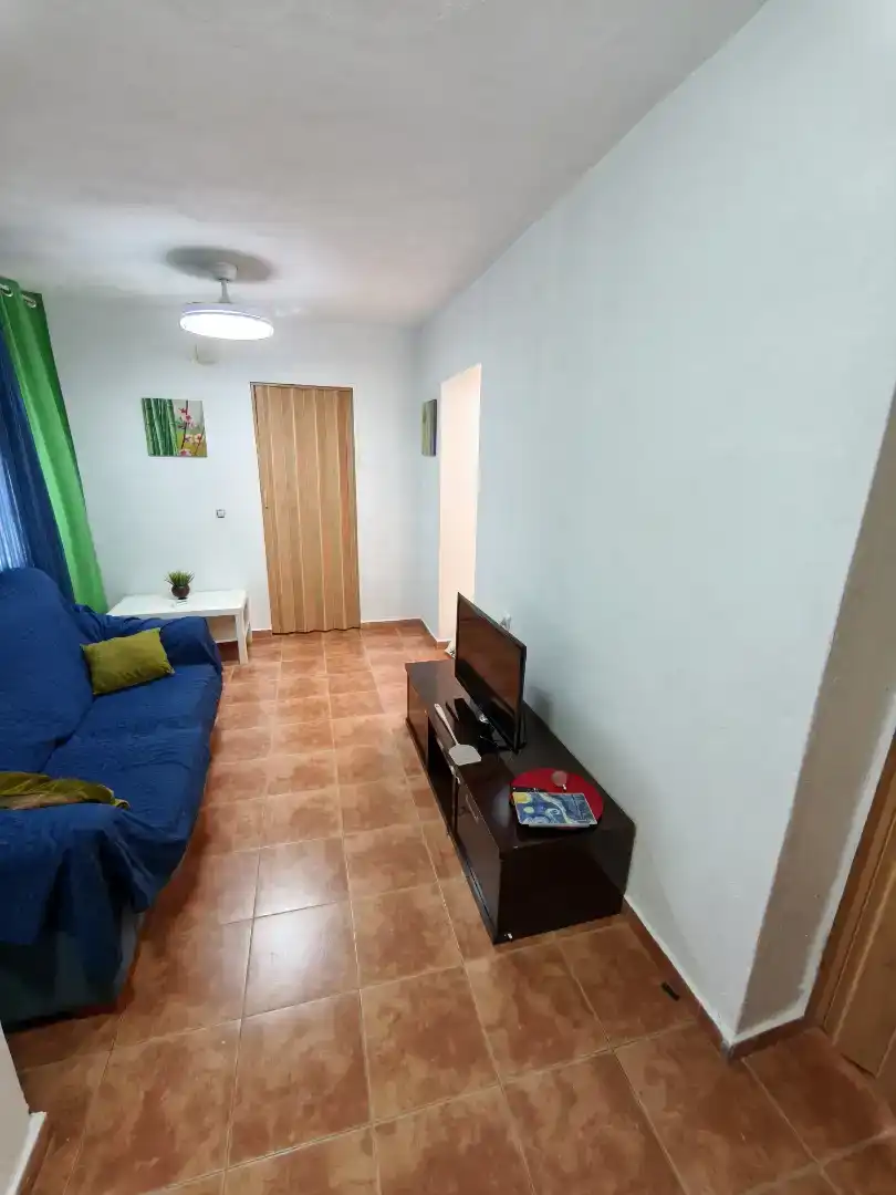 Living room of Houses for rent in Algeciras  with Private garden, Furnished and Balcony