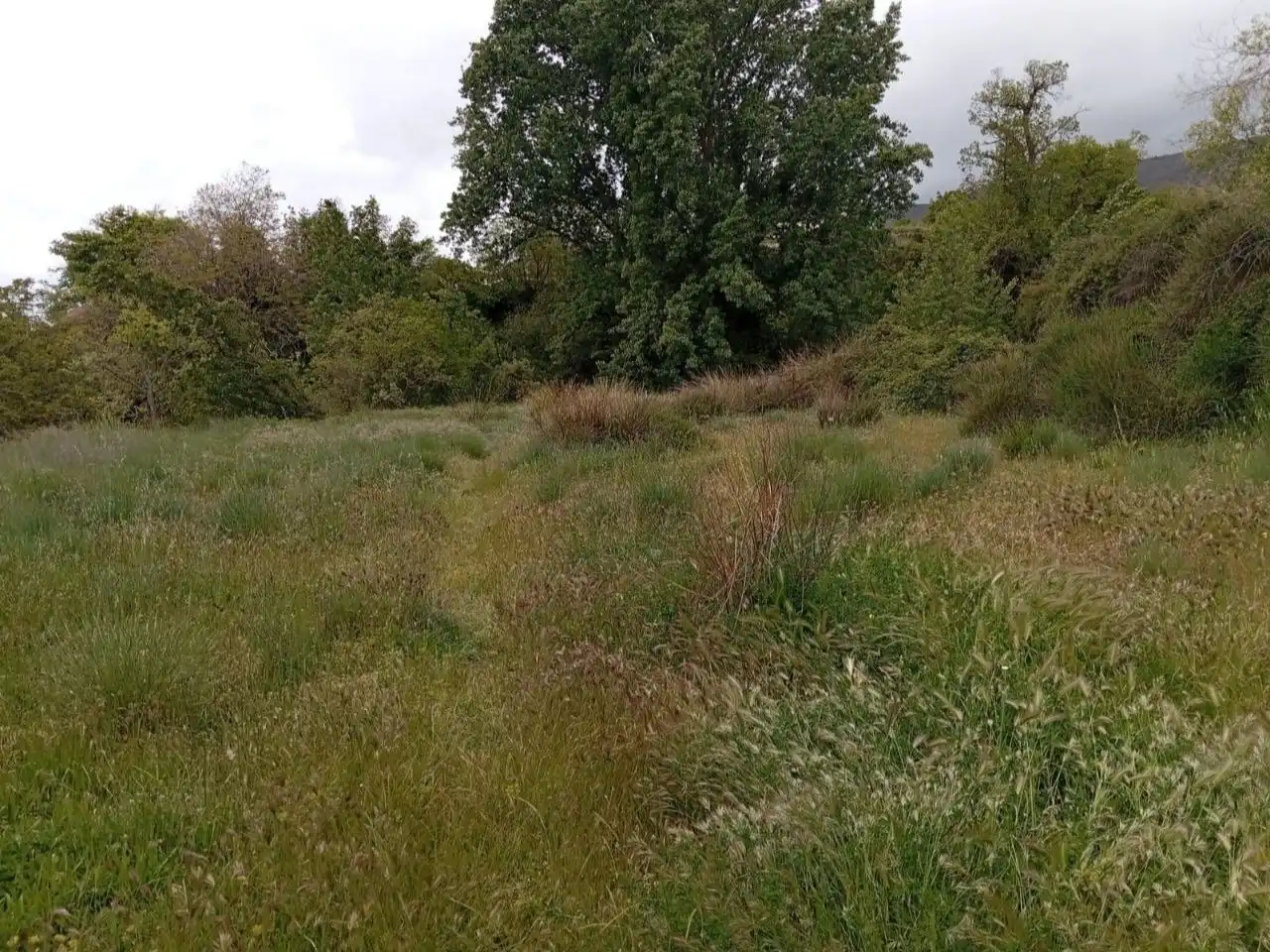 Terreno en venta en Pórtugos