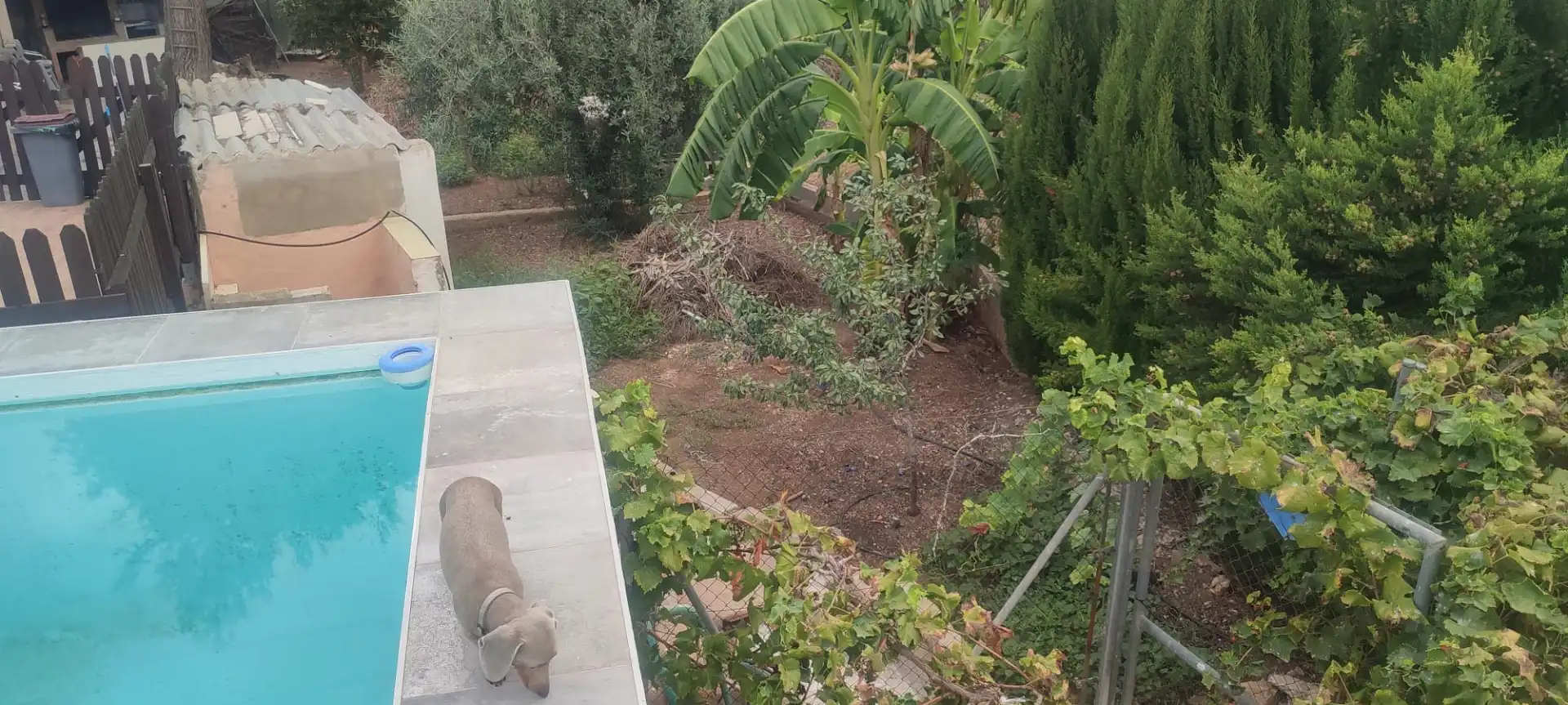 Jardín de Casa o chalet de alquiler en Picassent con Aire acondicionado, Calefacción y Jardín privado