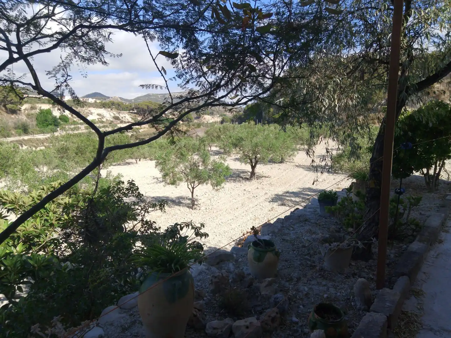 Terreno rustico in vendita a N/A, imagen 121