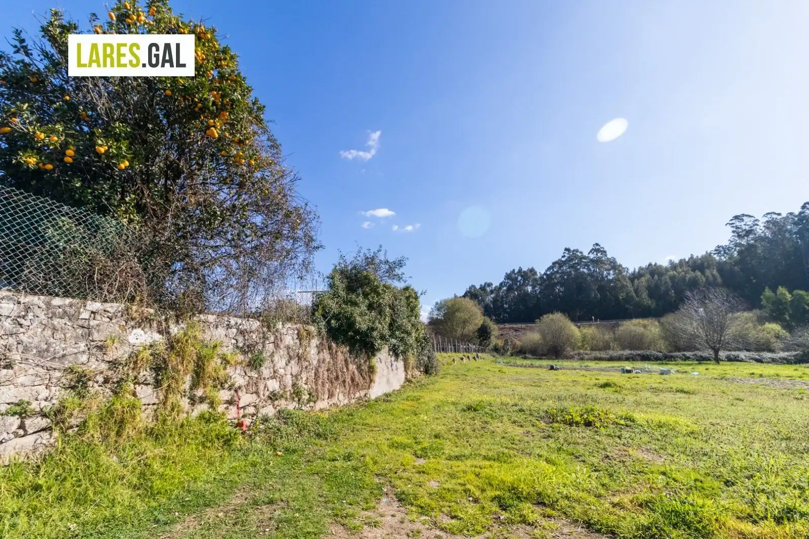 Terrain rustique à vendre à Ameixoada, imagen 17
