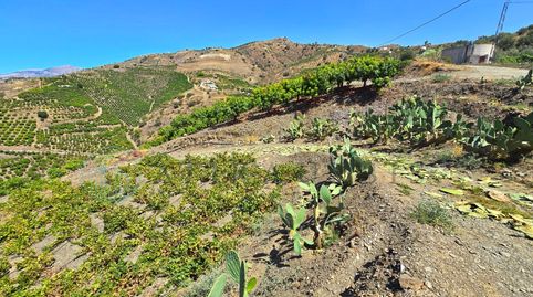 Foto 2 de Terreno en venta en Diseminados Diseminados, Benamargosa, Málaga