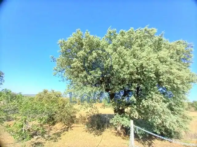 Rural land for sale in Fuente Obejuna, imagen 8