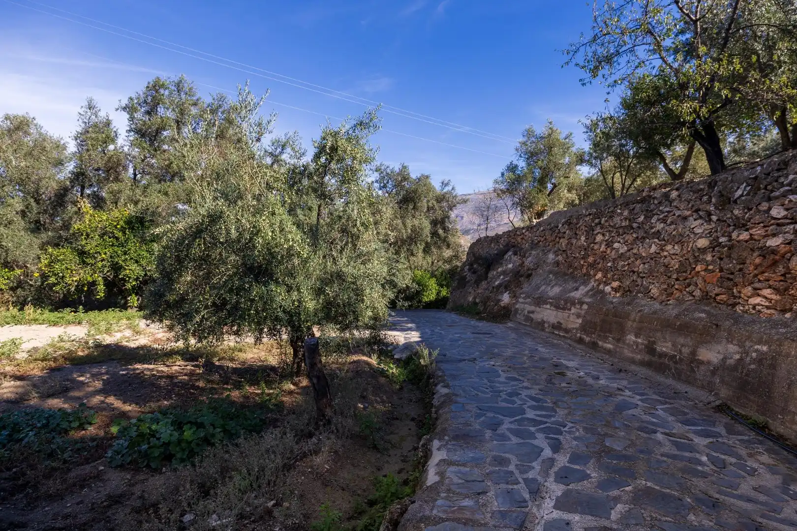 Exterior view of Land for sale in Lecrín