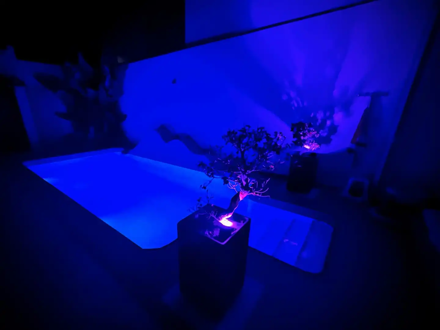 Piscina de Casa o xalet en venda en Dos Hermanas amb Aire condicionat, Jardí privat i Terrassa