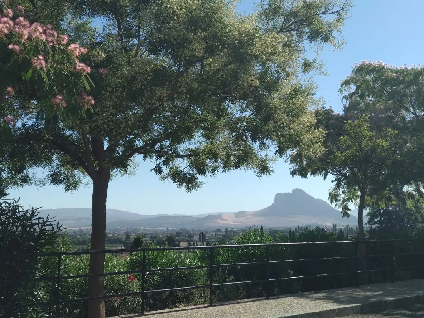 Lands and plots for sale in Bobadilla - Bobadilla Estación - La Joya, imagen 15