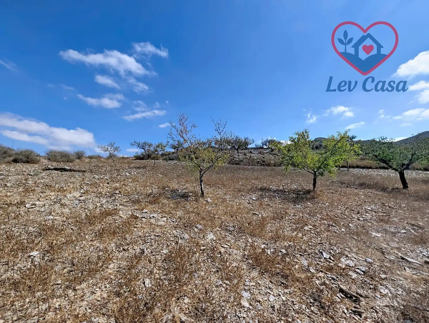 Terreno rustico in vendita a Playa del Galán, imagen 26