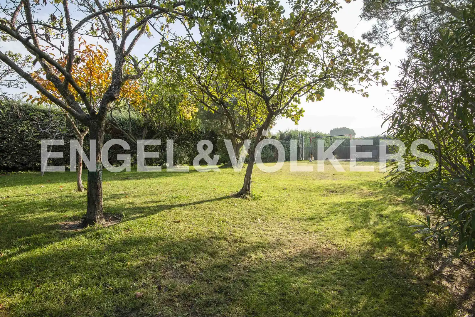 Houses for rent in Parque Boadilla