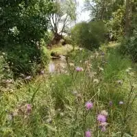 Casa adosada en venta en Villahermosa del Campo