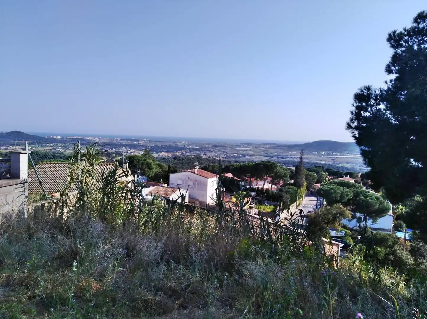 Terreno residencial en venta en Mas Mora - Sant Daniel, imagen 2